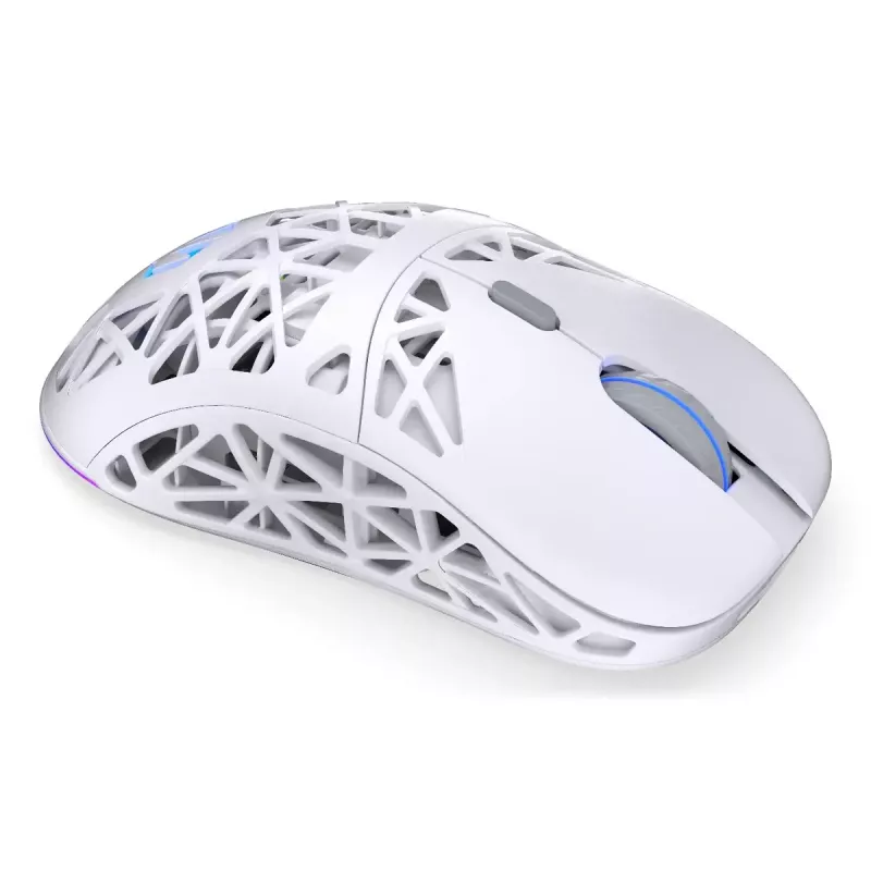 Belaidė žaidimų pelė ENDORFY LIV Onyx White — Bluetooth/2,4 GHz, 12 000 DPI, abiem rankoms tinkama, aRGB apšvietimas, 6 mygtukai, USB-A/USB-C kabelis
