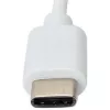 Techly keitiklio kabelio adapteris USB 3.1 Type CM į Gigabit Ethernet IADAP USB31-ETGIGA