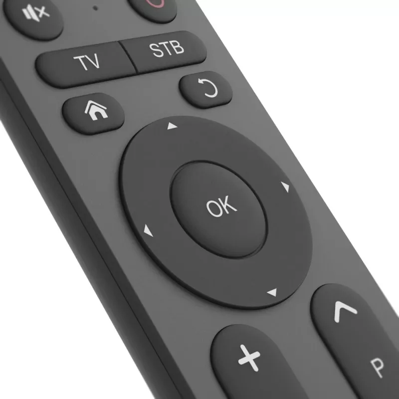 Nuotolinio valdymo pultas Hama 00221056 IR belaidis TV 31 mygtukas 10 m veikimo nuotolis