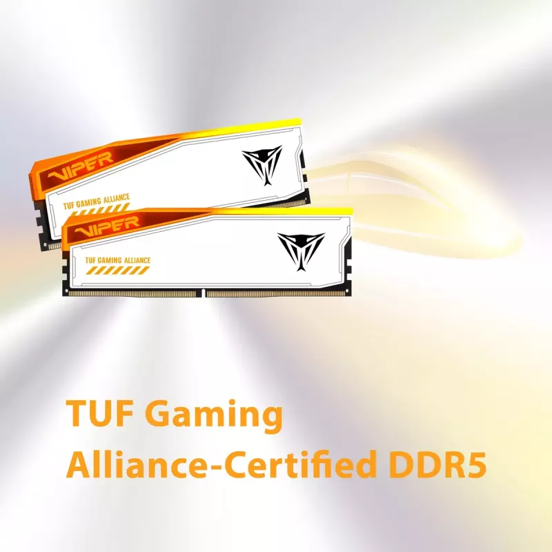 Patriot Memory Viper Elite 5 DDR5 32GB 6000MHz atminties modulis