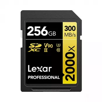 Atminties kortelė Lexar 256GB SDXC Class 10 LSD2000256G-BNNNG