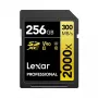Atminties kortelė Lexar 256GB SDXC Class 10 LSD2000256G-BNNNG