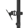 Hama 00118489 monitoriaus laikiklis / stovas 81.3 cm (32 coliai) Stalinis Juodas
