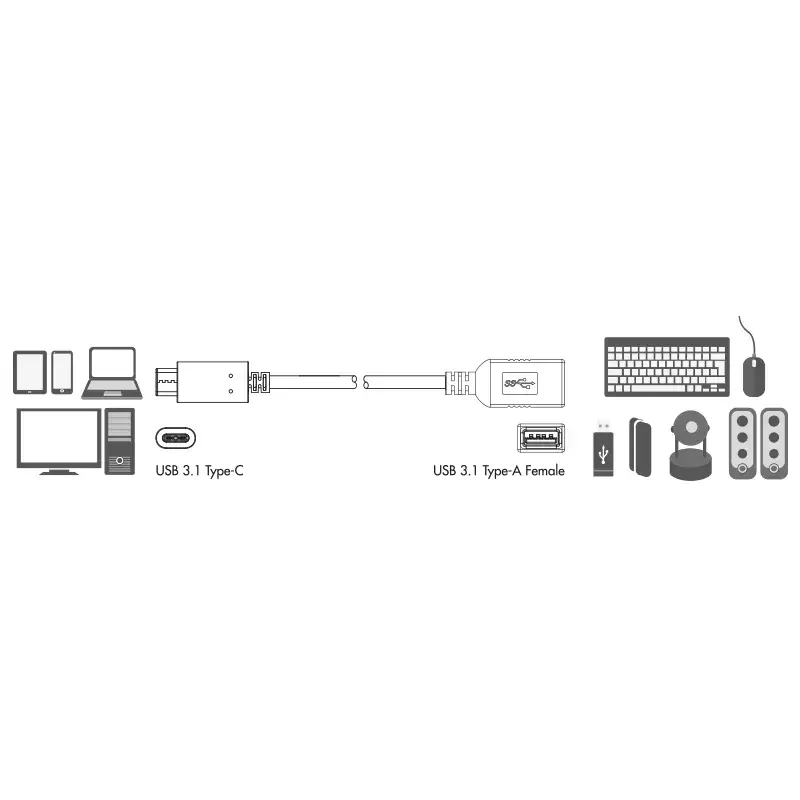 USB laidas LogiLink USB C - USB A 0,15 m CU0098 juodas