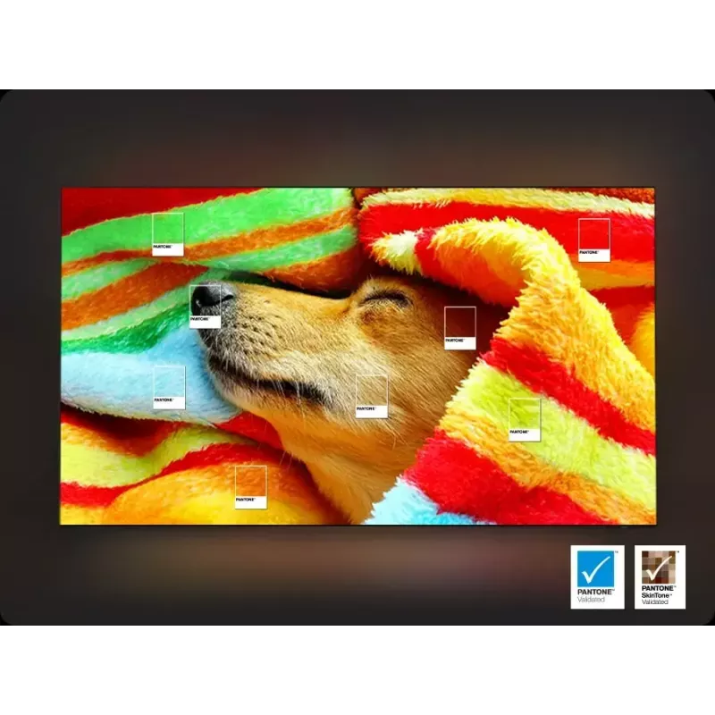 Televizorius Samsung 55 colių Neo QLED QN85F 4K Ultra HD išmanusis televizorius, 55 colių (138 cm), Neo QLED, 3840x2160, Tizen, sidabrinis