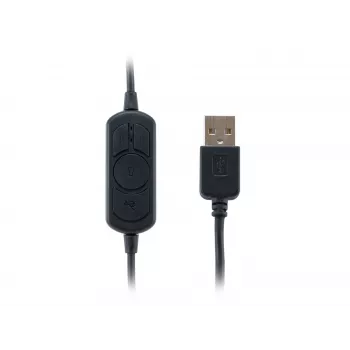 Ausinės Equip USB Headset