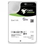 Seagate Enterprise ST14000NM000J vidinis standusis diskas 14 TB 7200 RPM 256 MB 3,5 col. Serial ATA III