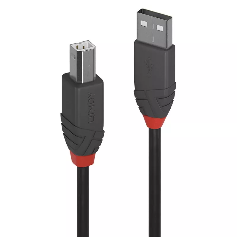 Lindy 1 m USB 2.0 Type A – B laidas, Anthra Line