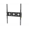 iiyama MD-WM6080 monitor mount / stand Wall Juoda