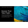 Xerox Genuine ® C320 spalvoto spausdintuvo / C325 spalvoto daugiafunkcio spausdintuvo geltonos spalvos standartinės talpos dažų kasetė (1800 puslapių) - 006R04822