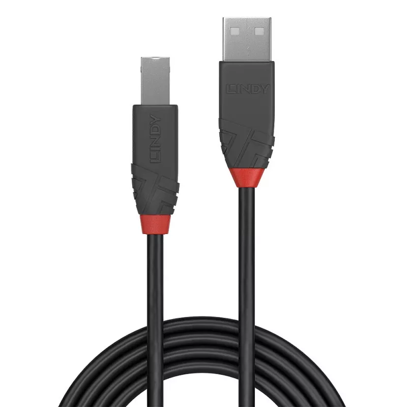 Lindy 0,2 m USB 2.0 A tipo į B tipo kabelis, Anthra Line