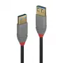 Lindy 1 m USB 3.2 Type A prailginimo laidas, 5 Gbps, Anthra Line