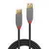Lindy 1 m USB 3.2 Type A prailginimo laidas, 5 Gbps, Anthra Line