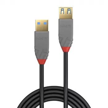 Lindy 1 m USB 3.2 Type A prailginimo laidas, 5 Gbps, Anthra Line