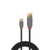 „Lindy“ 1 m USB 2.0 Type A į C laidas, „Anthra Line“