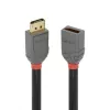 Lindy 3 m DisplayPort 1.4 ilginamasis laidas, Anthra Line