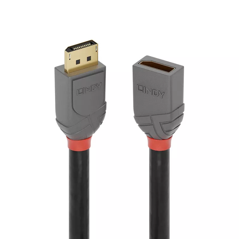 Lindy 3 m DisplayPort 1.4 ilginamasis laidas, Anthra Line