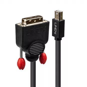 Lindy 2 m Mini DisplayPort į DVI laidas, juodas