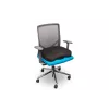 Sėdimosios pagalvėlė Kensington Ergo Memory Foam K55805WW