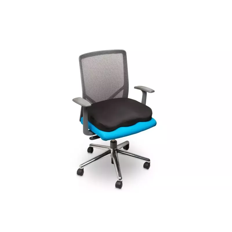 Sėdimosios pagalvėlė Kensington Ergo Memory Foam K55805WW