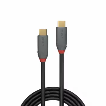 Lindy 2 m USB 3.2 Type C laidas, 5 A PD, Anthra Line