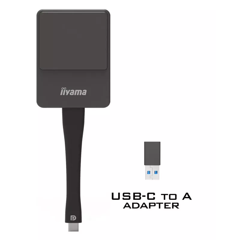 iiyama WP D002C Smart TV dongle USB 4K Ultra HD juoda, sidabrinė