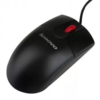 Lenovo 06P4069 pelė biurui abiem rankoms tinkama USB Type-A optinė 400 DPI