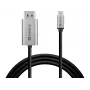 Sandberg USB-C į DisplayPort kabelis 2M USB Type-C DisplayPort 2m