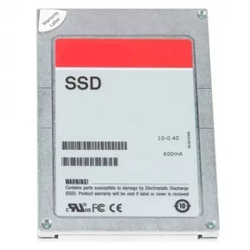 DELL 400-BERF vidinis kietojo kūno diskas 3,84 TB 2,5 colio SAS
