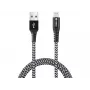 Sandberg Survivor Lightning laidas 1M