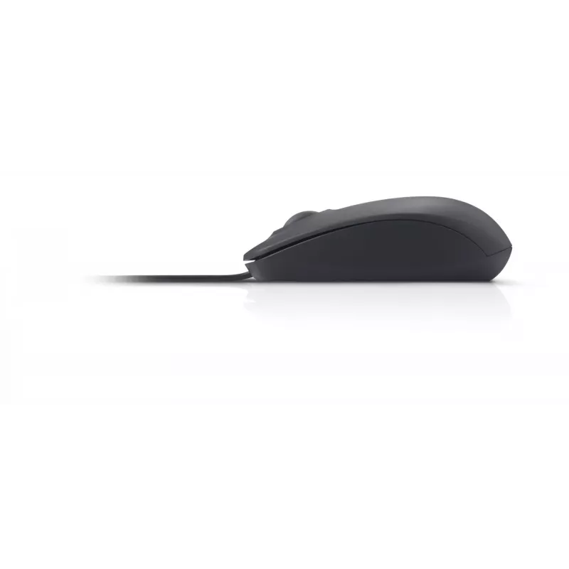 Pelė DELL USB optinė pelė MS111 USB A tipo