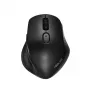 ASUS MW203 pelė, skirta biurui, dešiniarankė, RF belaidis + Bluetooth, optinė, 2400 DPI