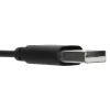 Targus AEH102GL ausinės / laisvų rankų įranga Laidinis Ant galvos Skambučiai / muzika USB A tipo Juoda