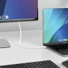 StarTech.com 6 pėdų (2 m) USB-C į DisplayPort 1.2 laidas, dvikryptis, 4K 60 Hz, baltas vaizdo adapterio laidas, skirtas Apple MacBook Pro / Air M1 M2 M3 M4, Mac Mini / Studio, Thunderbolt suderinamas