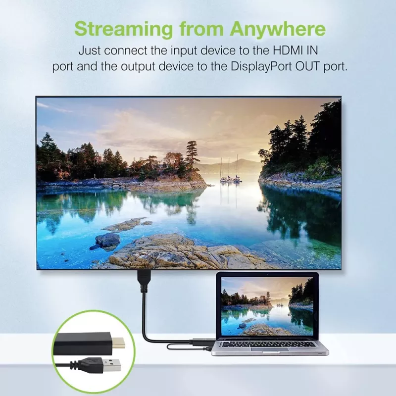 Vaizdo signalo keitiklis Techly ICOC HDMI-DP12A 4096x2160 120Hz