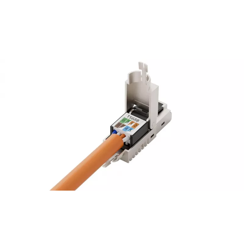 Lanview LVN125417 vielos jungtis RJ45 Cinkas