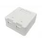 Lanview LVN127767 maitinimo lizdas 2 x RJ-45 Baltas