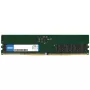 Origin Storage 16 GB DDR5 4800 MHz UDIMM 1Rx8 Non-ECC 1,1 V, 16 GB, 1 x 16 GB, DDR5, 4800 MHz, 288 kontaktų DIMM