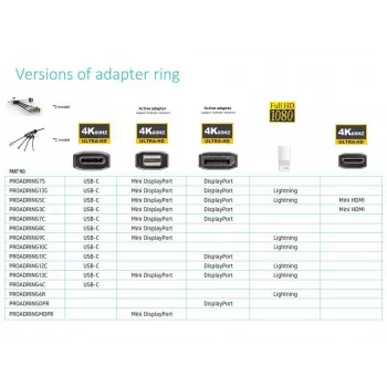 Vivolink PROADRINGDPR vaizdo kabelio adapteris 0,1 m DisplayPort HDMI juoda