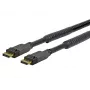 Vivolink PRODPAM20 DisplayPort kabelis 20 m juoda