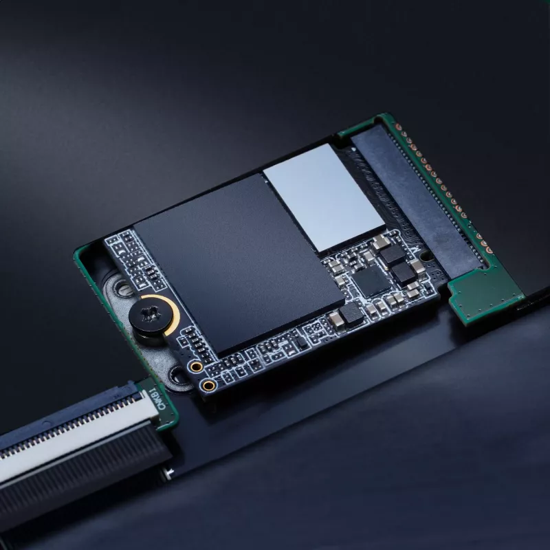 XPG GAMMIX S55 2 TB M.2 PCI Express 4.0 NVMe 3D NAND