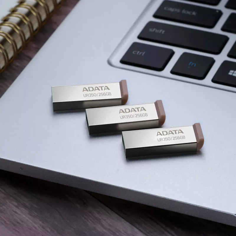 ADATA UR350 USB atmintukas 256 GB USB Type-A 3.2 Gen 1 (3.1 Gen 1) Ruda, nerūdijantis plienas
