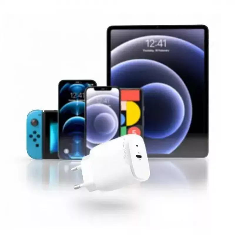 Vidinis įkroviklis ALOGIC WC1X20-EU išmaniajam telefonui 100-240V USB-C baltas