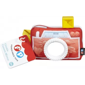 Fisher-Price Everything Baby DFR11 mokomasis žaislas