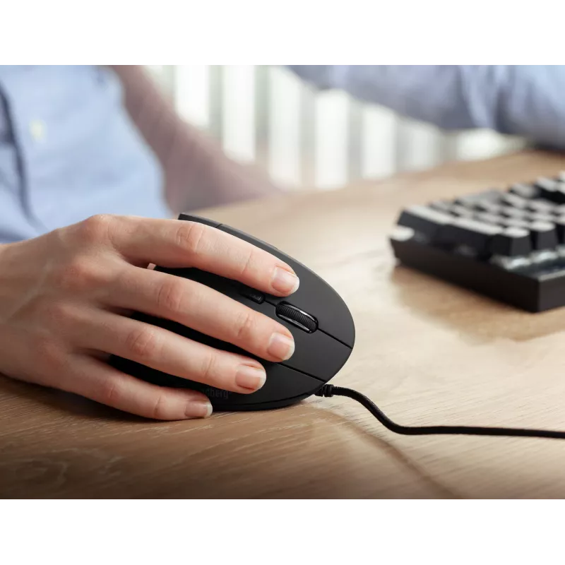 Laidinė pelė Sandberg Wired Vertical pelė USB Type-A