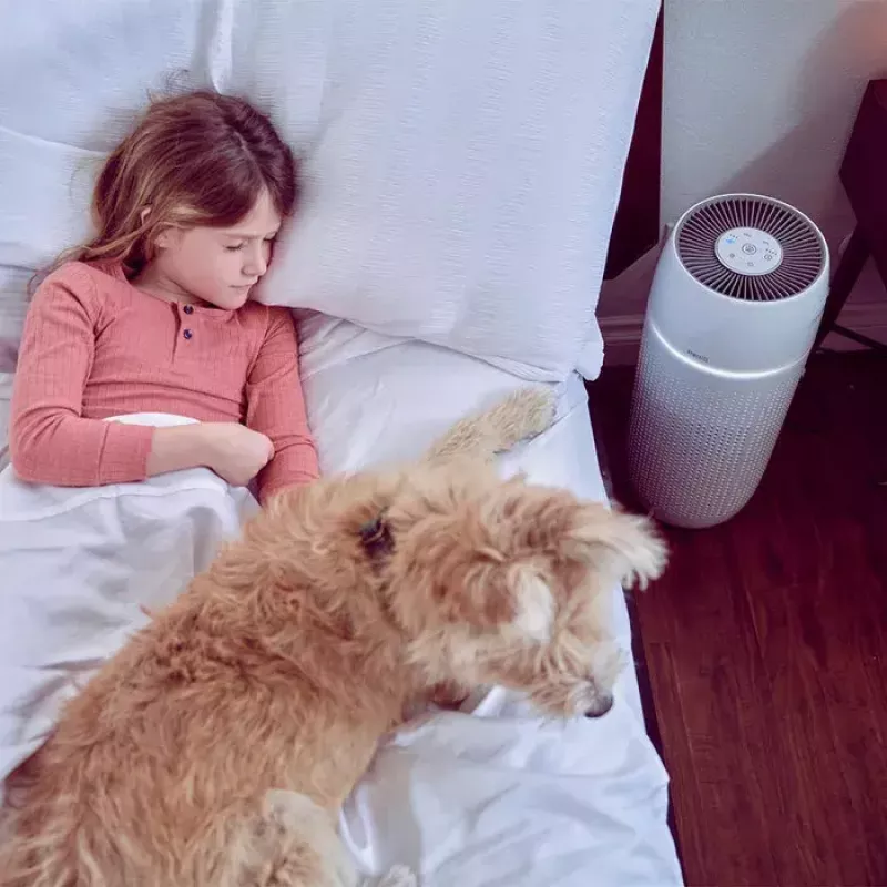 Oro valytuvas HoMedics AP-PET35WT-EU