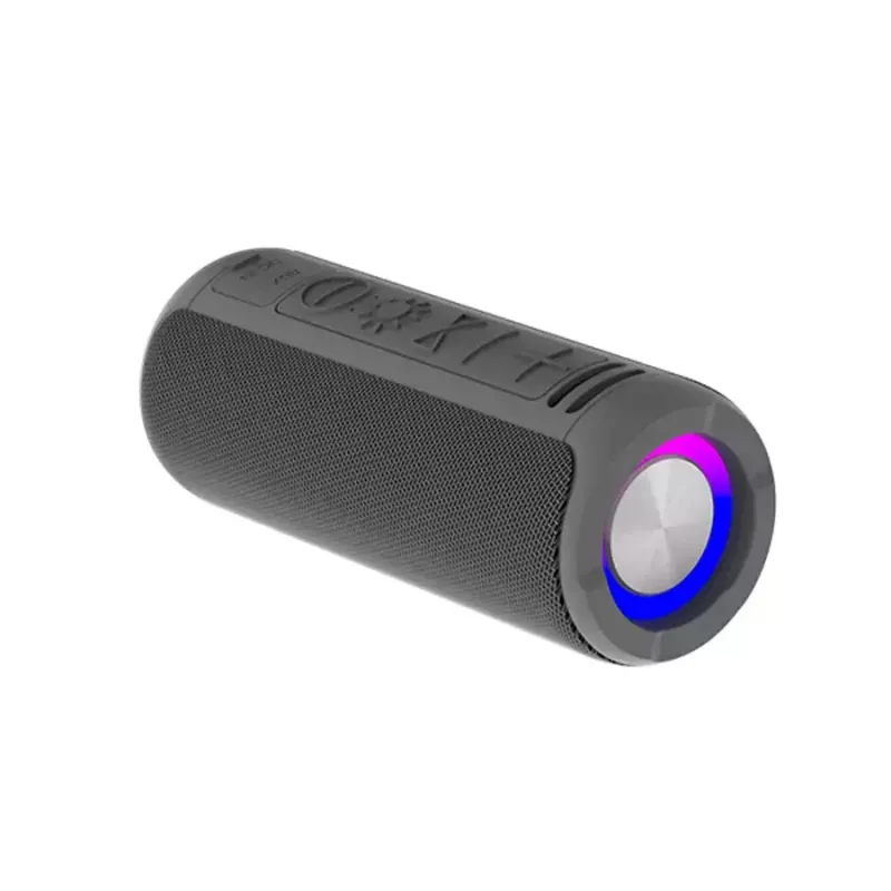 Mono nešiojamasis garsiakalbis Denver BTV-213GR, juodas