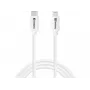 Sandberg USB-C PD to Lightning MFI 1M kabelis 1m Lightning USB C