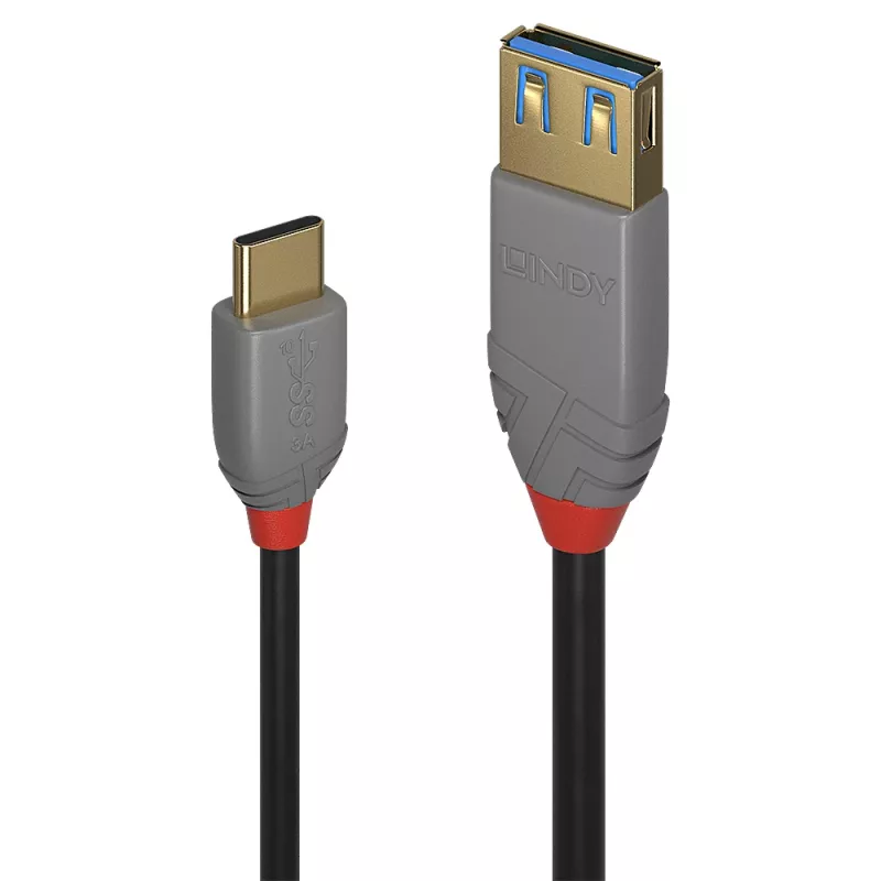 Lindy 0,15 m USB 3.2 Type C į A adapterio kabelis, 10 Gbps, Anthra Line