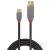 Lindy 0,15 m USB 3.2 Type C į A adapterio kabelis, 10 Gbps, Anthra Line